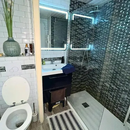 Maison Du Bois - Baie Cayola - Terrasse Et Piscine בית נופש Talmont-Saint-Hilaire