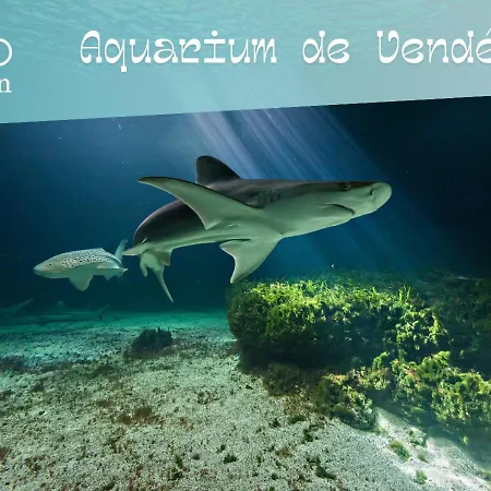 Maison Du Bois - Baie Cayola - Terrasse Et Piscine בית נופש *