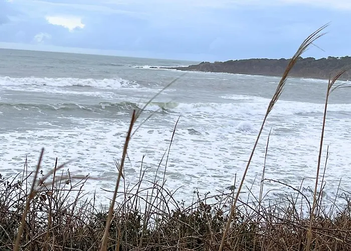 Maison Du Bois - Baie Cayola - Terrasse Et Piscine בית נופש *