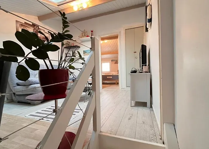 Maison Du Bois - Baie Cayola - Terrasse Et Piscine Feriehus Talmont-Saint-Hilaire