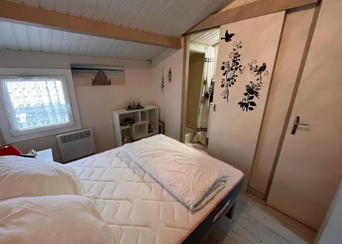 Maison Du Bois - Baie Cayola - Terrasse Et Piscine Feriehus Talmont-Saint-Hilaire