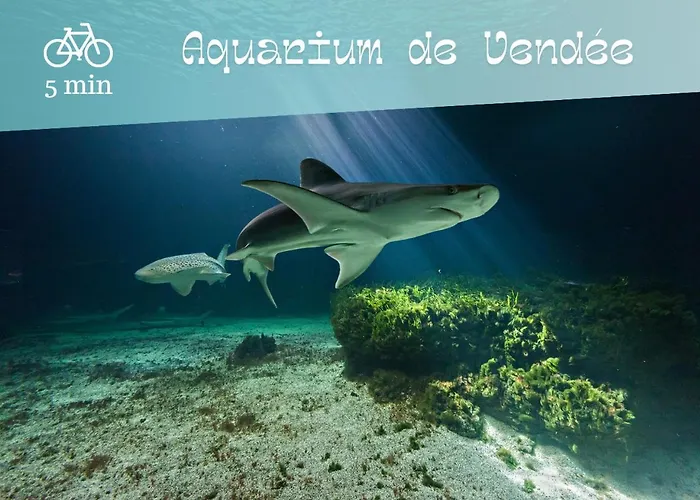 Maison Du Bois - Baie Cayola - Terrasse Et Piscine Feriehus *